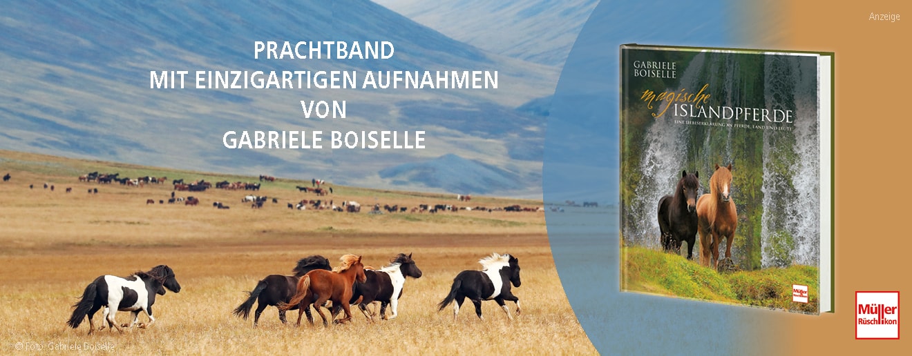 Bildkarussell - Bild 1